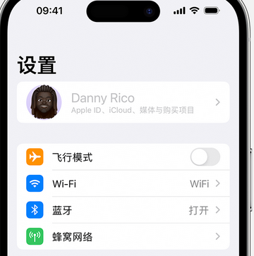 姚安appleID维修服务iPhone设置中Apple ID显示为灰色无法使用 