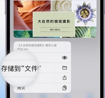 姚安apple维修中心分享iPhone文件应用中存储和找到下载文件