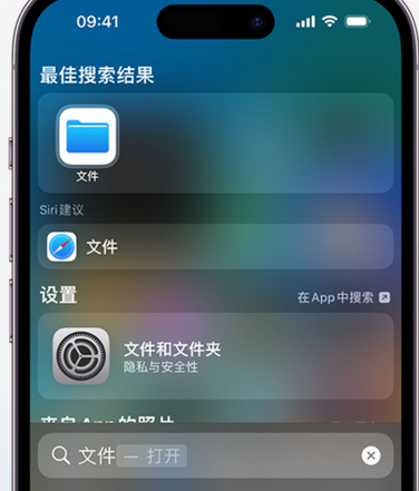 姚安apple维修中心分享iPhone文件应用中存储和找到下载文件 