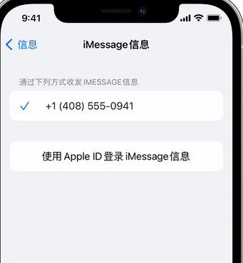 姚安apple维修iPhone上无法正常发送iMessage信息 