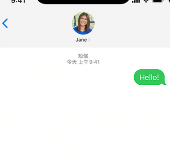 姚安apple维修iPhone上无法正常发送iMessage信息