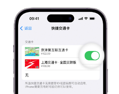 姚安apple维修点分享iPhone上更换Apple Pay快捷交通卡手绘卡面 