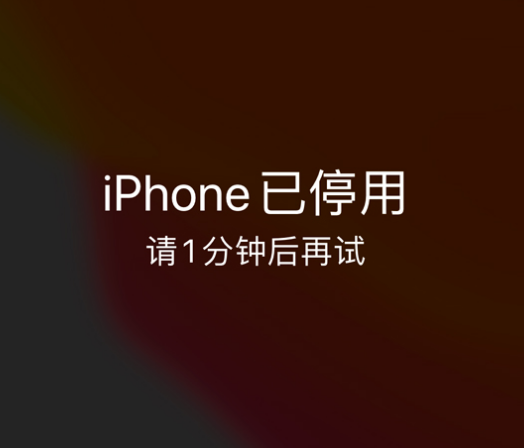 姚安苹果手机维修分享:iPhone 显示“不可用”或“已停用”怎么办？还能保留数据吗？ 