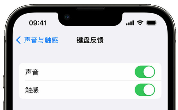 姚安苹果手机维修分享iPhone 14触感键盘使用方法 