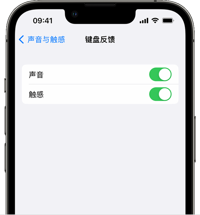 姚安苹果14维修分享iPhone 14 系列机型如何开启键盘声音或触感反馈 