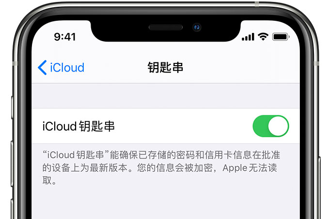 姚安苹果手机维修分享在 iPhone 上开启 iCloud 钥匙串之后会储存哪些信息 