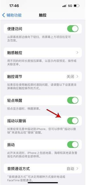 姚安苹果手机维修分享iPhone手机如何设置摇一摇删除文字 