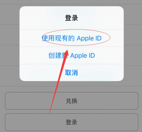 姚安苹果手机维修分享两台iPhone设备可以同时登录一个Apple ID吗 