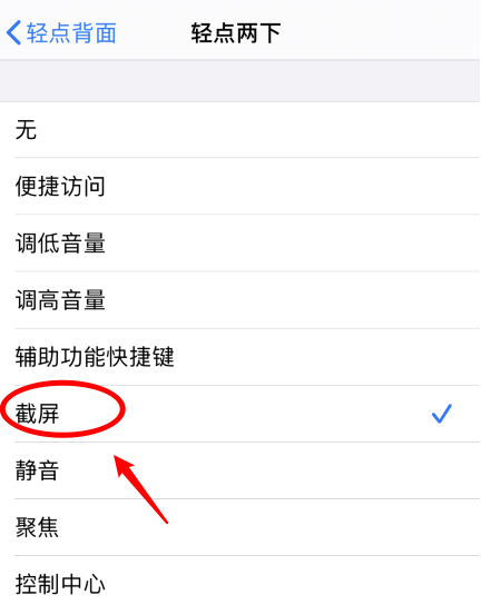 姚安苹果手机维修分享iPhone12如何启用双击截屏 